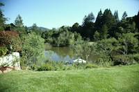 recovery-for-alcohol