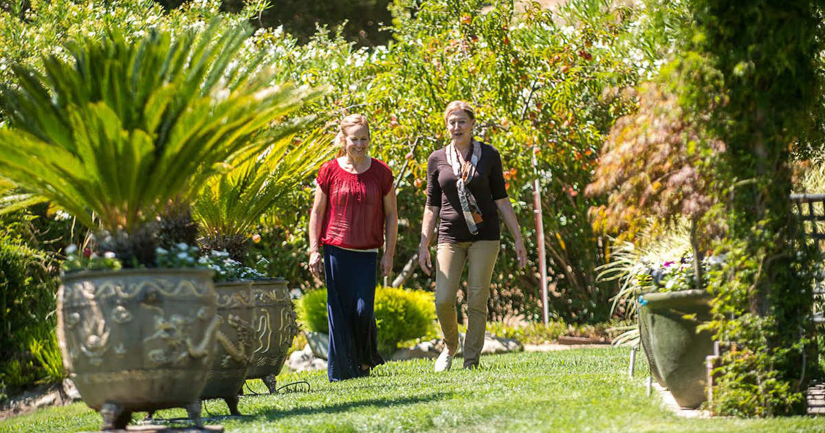 Joyful Gen A Story of Recovery