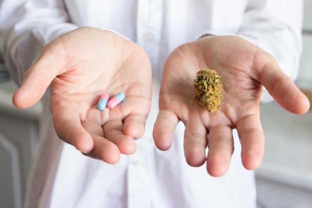 connection between marijuana and opioids